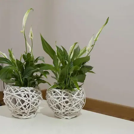 La Casa Di Abbi アパート レッチェ