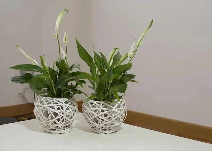 La Casa Di Abbi Lejlighed Lecce